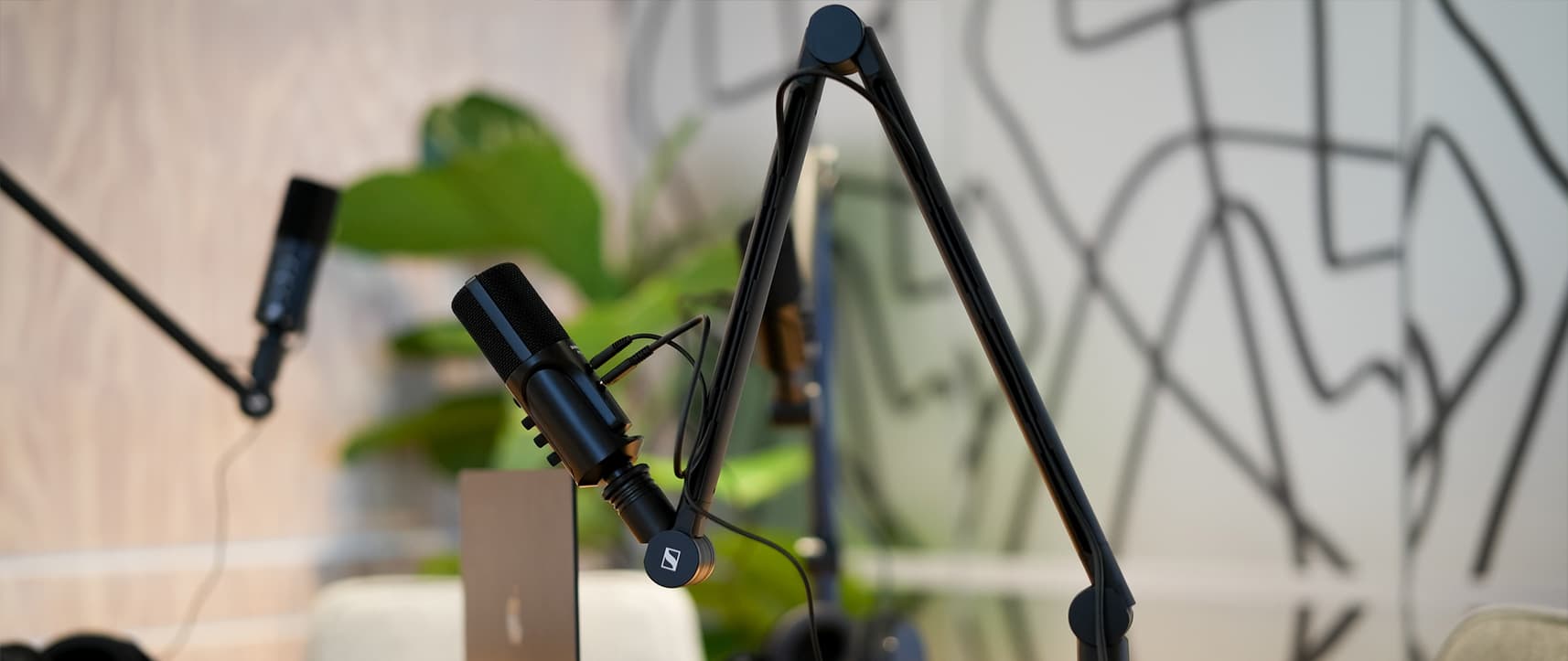 Step into the Spotlight