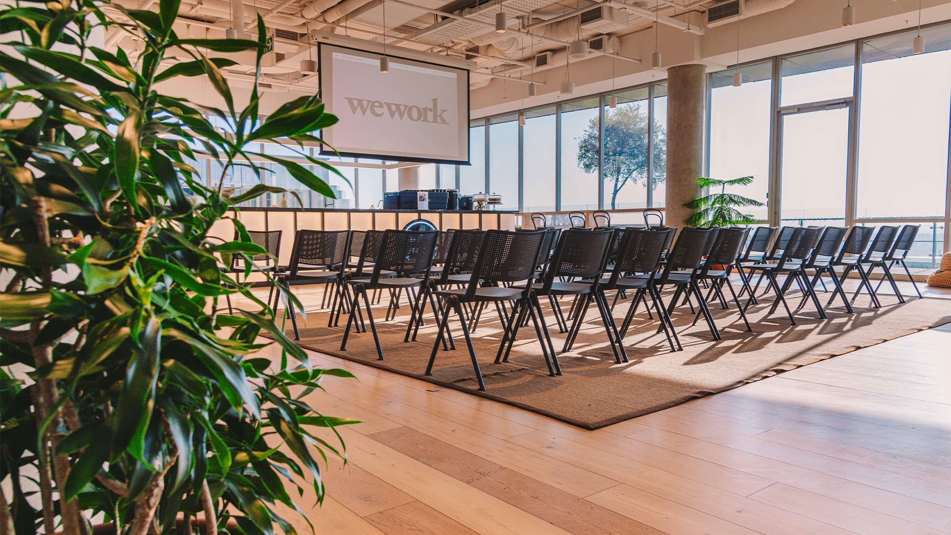 Discover spaces designed to spark creativity and collaboration